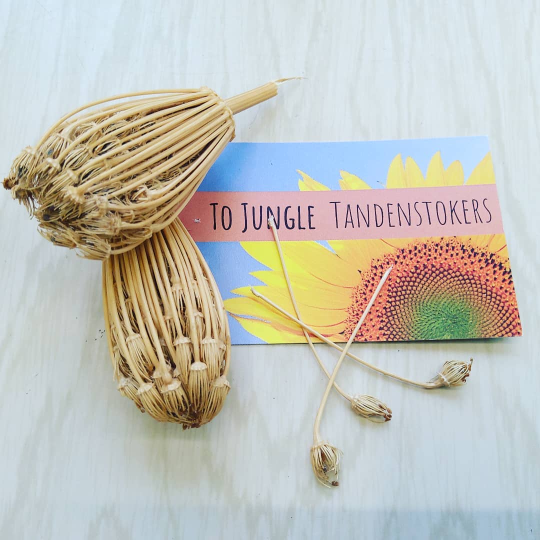 Jungle Tandenstokers